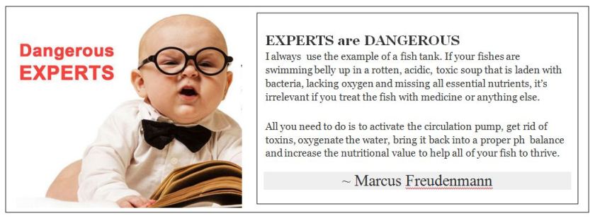 Experts are dangerous Marcus